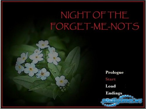 Night of the Forget Me Nots