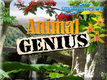 Animal Genius