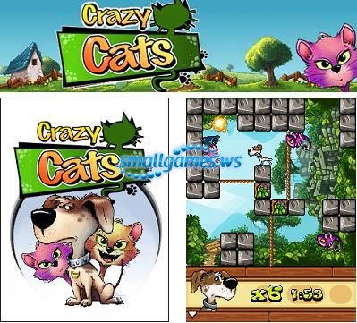 Crazy Cats/Сумасшедшие коты
