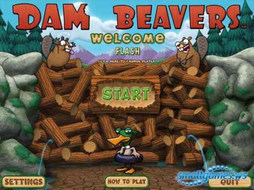 Dam Beavers