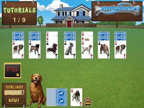 Best in Show Solitaire